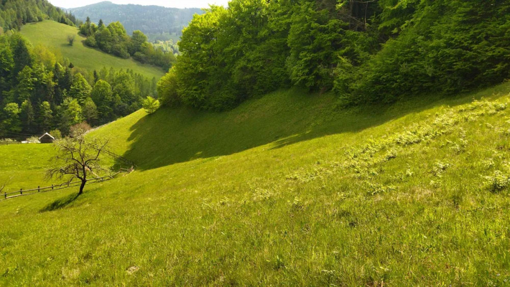 Продаж Будинок Болехів - фото 11