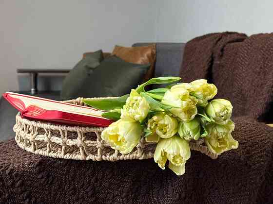 Продаж Квартира 1-кімнатна, 4/5 поверх на Мира вул., д. 5 Kiev