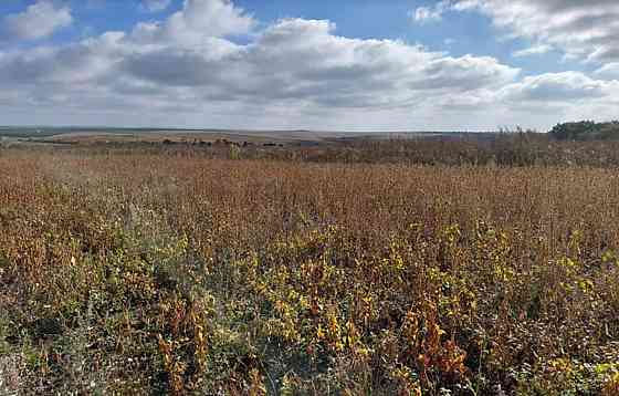 Продаж земельної ділянки 20 соток Байковцы