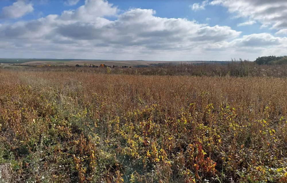 Продаж земельної ділянки 20 соток Baikivtsi - photo 6