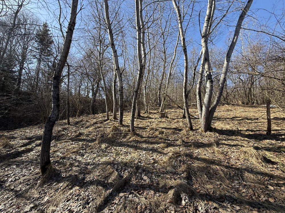 Продаж земельної ділянки 98 соток Verkhnie Synovydne - photo 12