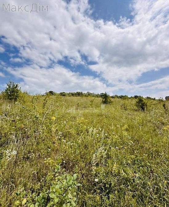 Продаж Будинок на вул. В'ячеслава Чорновола Baikivtsi - photo 1
