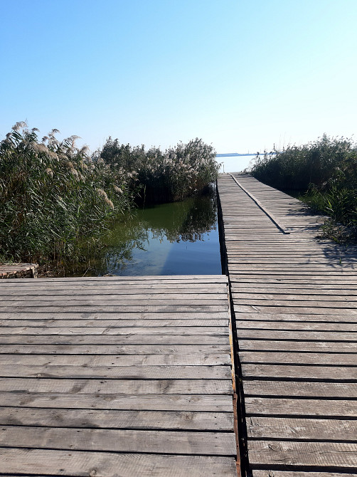 Продам курень в Нерубайском! Нерубайське - фото 9