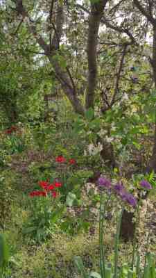 Продаж земельної ділянки 0.1 соток на ул. 29-я улица (ул. Старые дачи), 1685 Свитле