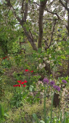 Продаж земельної ділянки 0.1 соток на ул. 29-я улица (ул. Старые дачи), 1685 Свитле - изображение 6