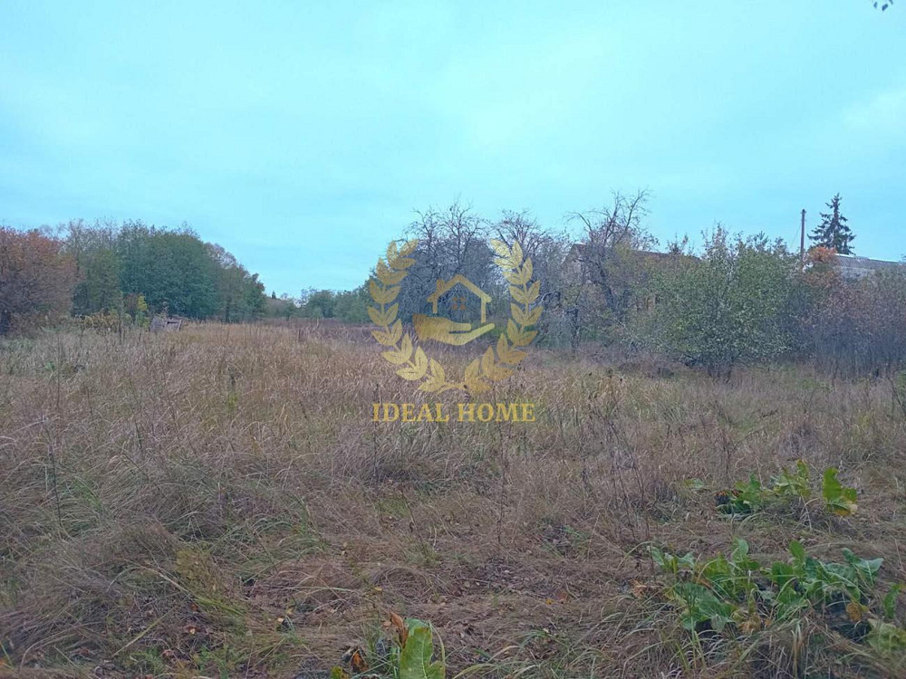 Продам будинок з великою земельною ділянкою в с.Заруддя  - фото 11