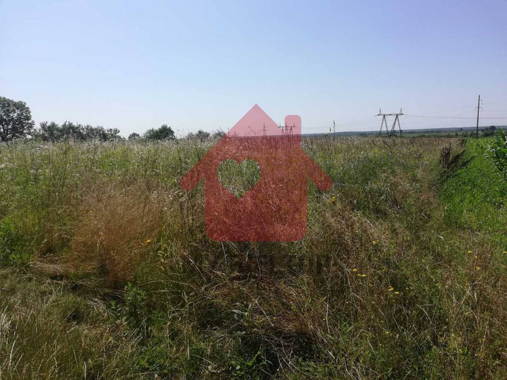 Продаж земельної ділянки 70 соток на Головна  - photo 3