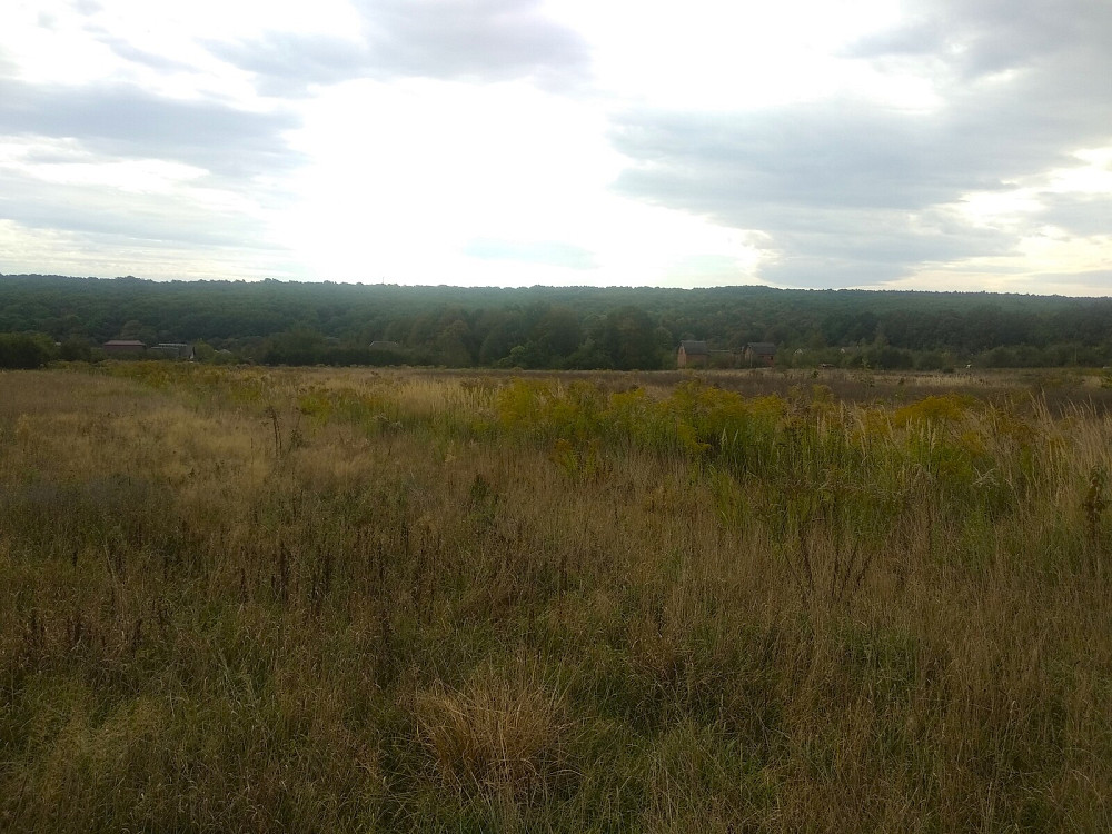 Продаж земельної ділянки 41.6 соток Pavlivka - photo 5