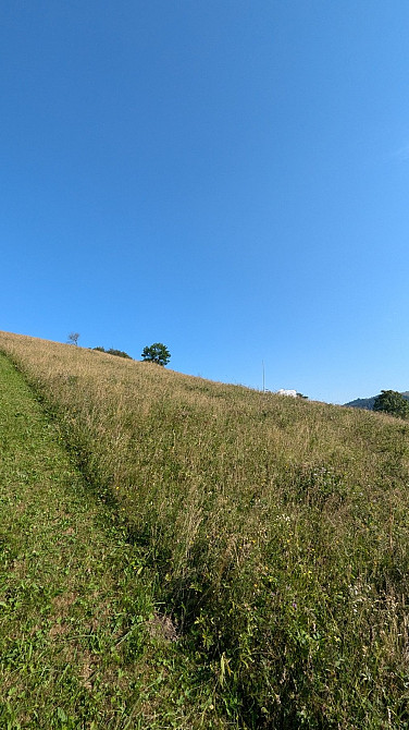 Продаж земельної ділянки 60 соток на Рикалівка Zamahora - photo 2