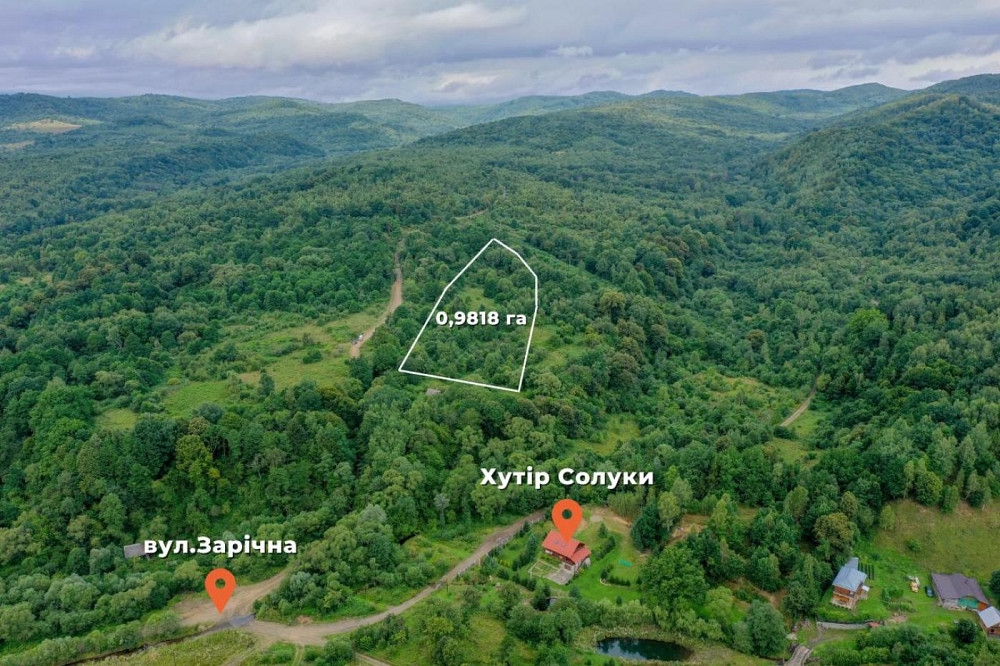 Продаж земельної ділянки 1 га на вул. Шевченка Верхнє Синьовидне - фото 1