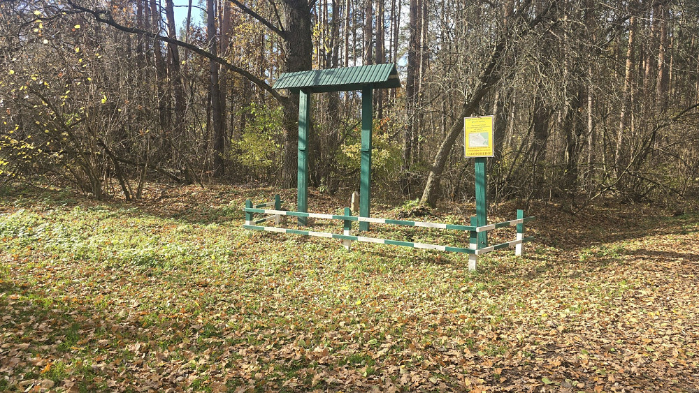 Продаж земельної ділянки 12 соток на Лісова Быстри - фото 5