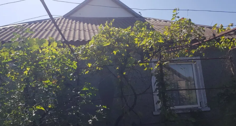 Продам дом в с.Новые Биляры (Лиманский р-н, 15 км от Одессы) Нові Білярі - фото 4