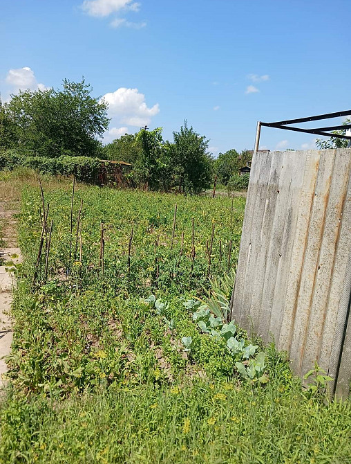 Продаж 1-поверховий Дача з ділянкою 18 сот 50 кв.м 2 кімн. на Буки Zhytomyr - photo 1