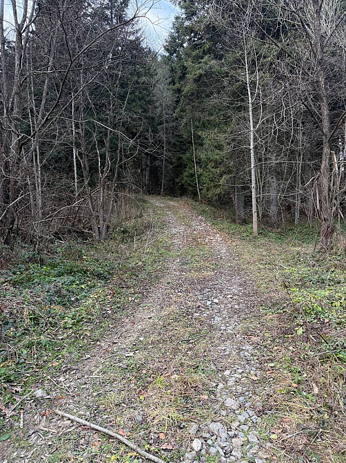 Продаж земельної ділянки 10 соток на вул. лісна Сколе - фото 12