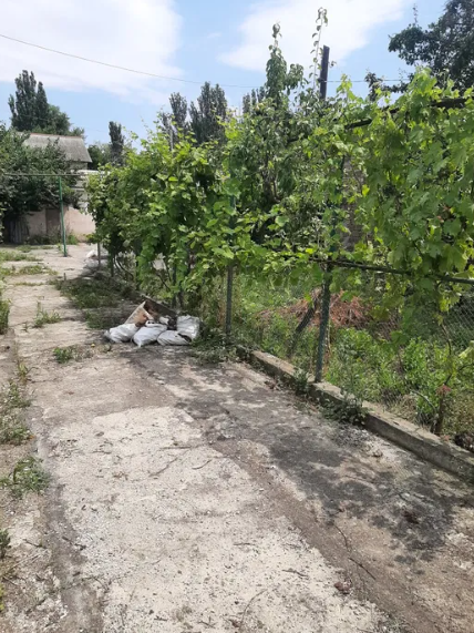 Продам два дома на одном участке в п.Большевик (г.Одесса) Одеса - фото 15