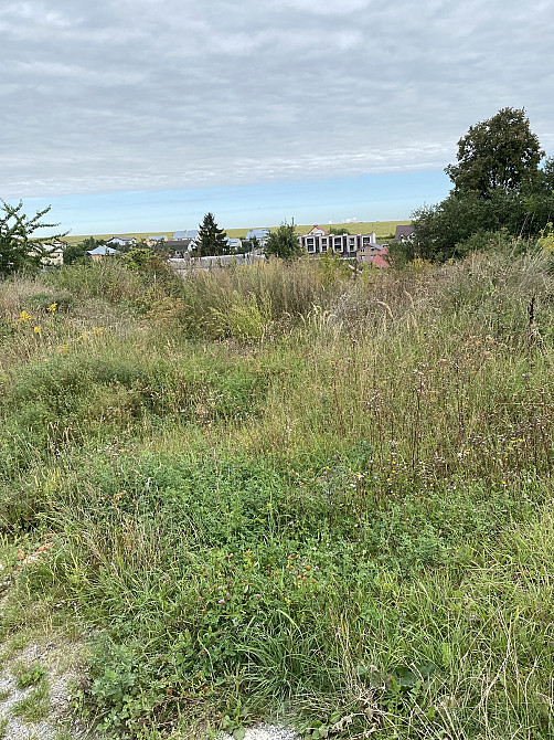 For sale land plot  area 23 ares Джерельна  - photo 5