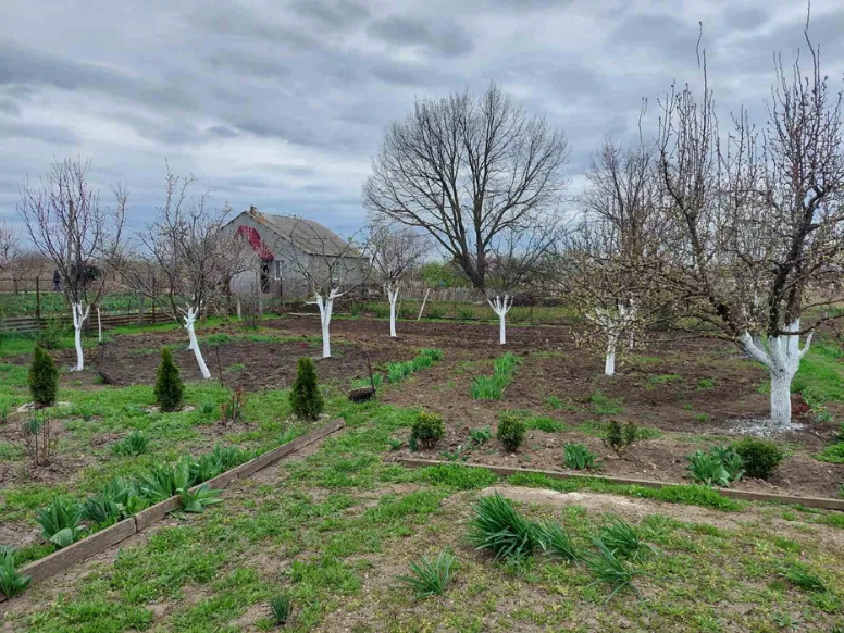 Продам дом в Кремидовке (30 км от Одессы) Кремидівка - фото 8