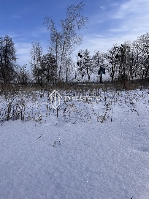 Продаж земельної ділянки 2 га Hnidyn - photo 8