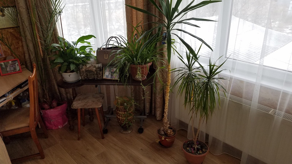 Продаж Будинок 5-кімнатний на просп. Виталия Нестеренко (просп. Высоцкого), 84 Фонтанка - фото 17