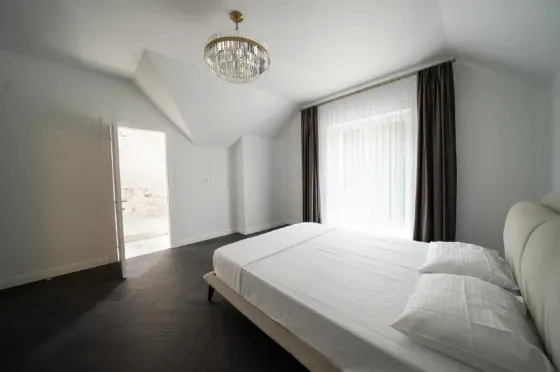 655 House with banquet hall and swimming pool for rent Kiev