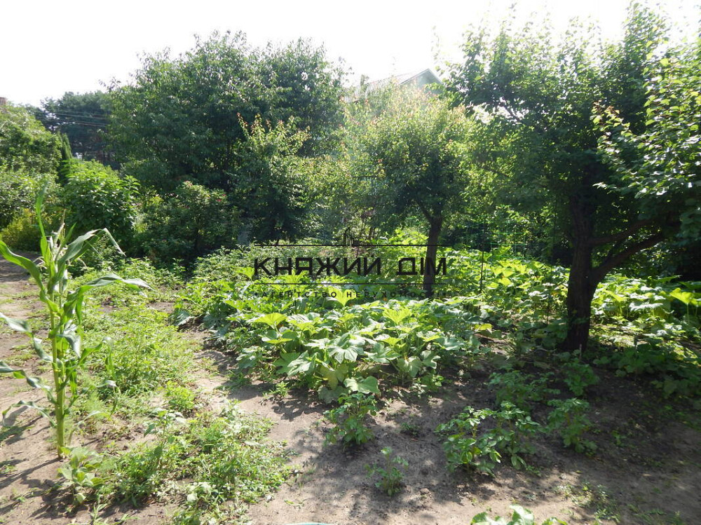 Продается дом 120 м2+5 соток Киевское море(ГЭС),между Вышгородом и Осещиной, в дачном массиве Вишгород - фото 5