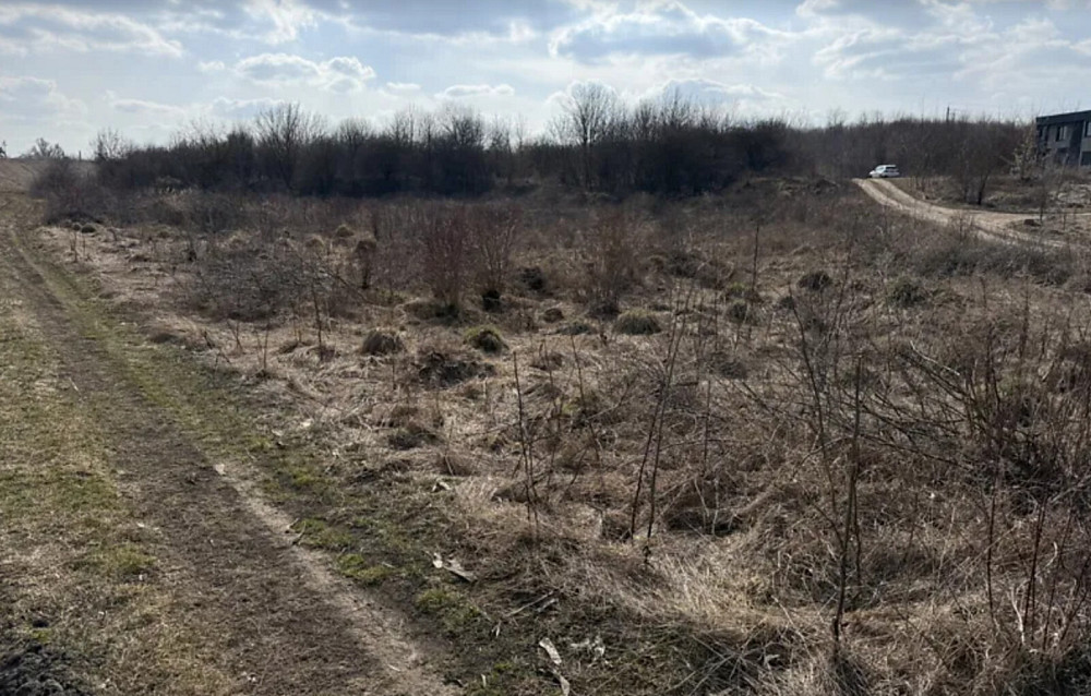 Продаж земельної ділянки 29 соток  - фото 3