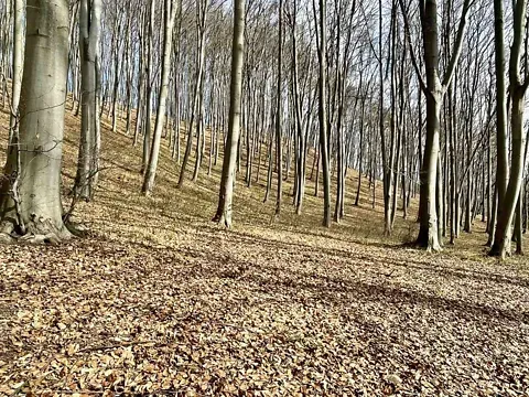 For sale land plot  area 53 ares   - photo 6