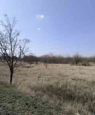 Продаж земельної ділянки 0.1 соток на ул. Верхня, 17 Kholodna Balka