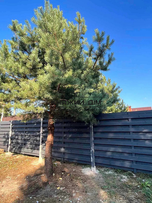 Продаж будинку 100м2 в соснах с.Северинівка № 1152005 Севериновка (Макаривський район) - изображение 7