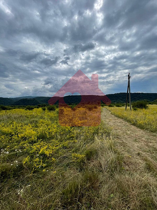 Продаж земельної ділянки 0 соток на Невицьке  - photo 6