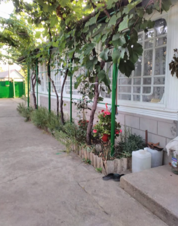 Продам дом в с.Красная Коса (70 км от Одессы) Красна Коса