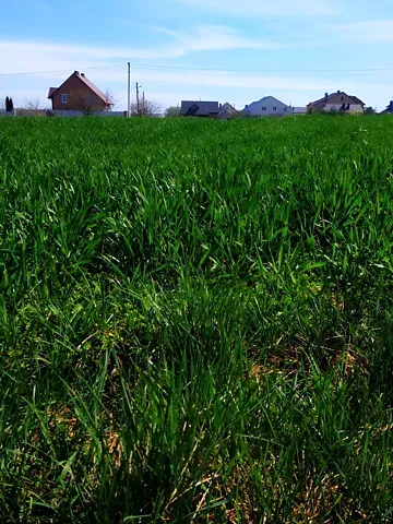 For sale land plot  area 23 ares Залізнична бічна вулиця  - photo 8