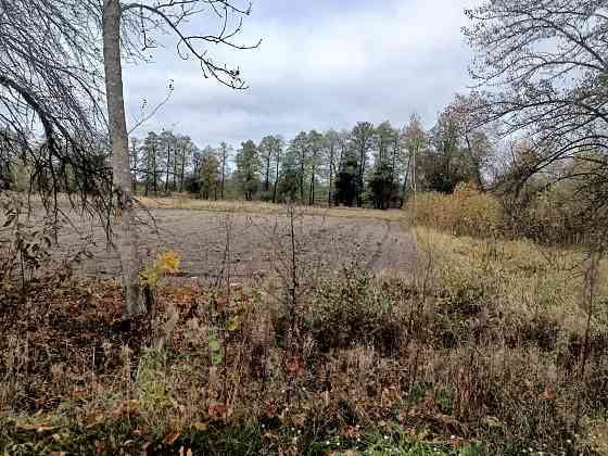 Продаж земельної ділянки 67 соток на С. Вигода Житомир