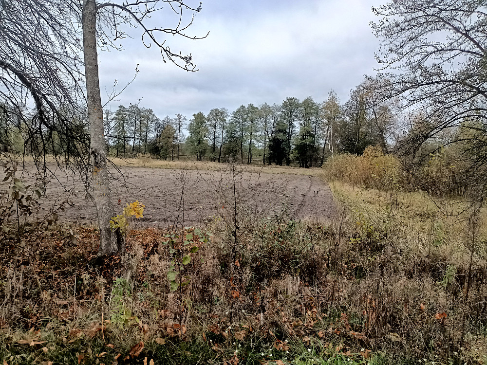 Продаж земельної ділянки 67 соток на С. Вигода Житомир - изображение 2