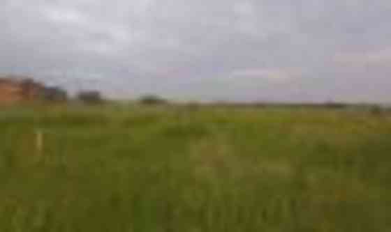 Продаж земельної ділянки 15 соток Іванків