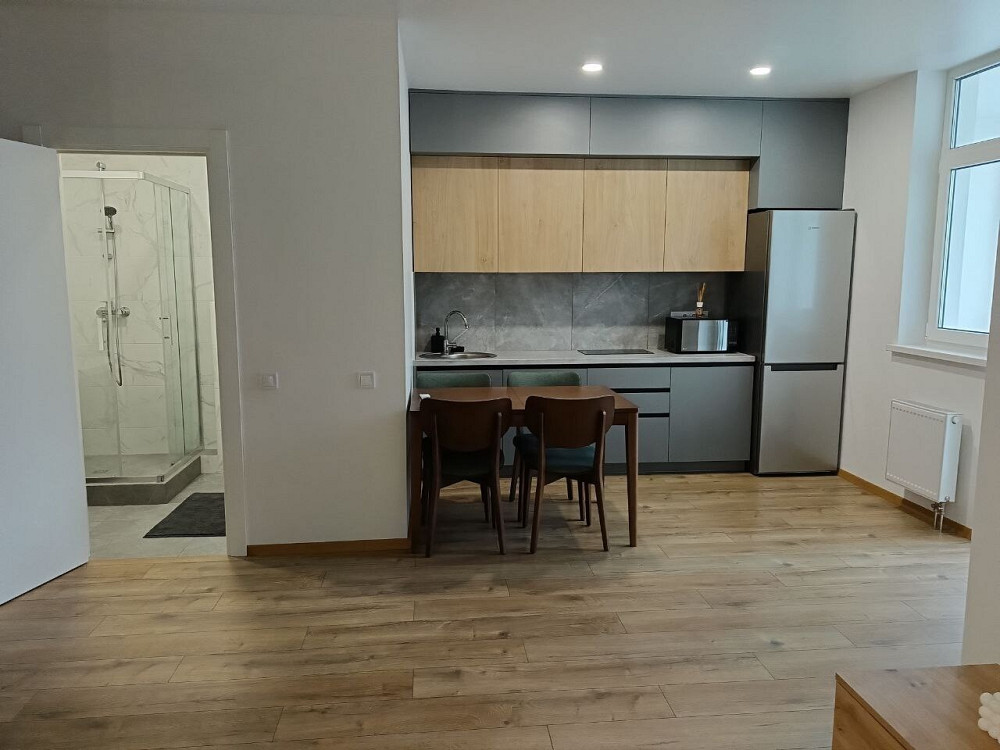 Оренда Квартира 1-кімнатна, 16/24 поверх на улица Ревуцкого, д.40 Киев - изображение 13