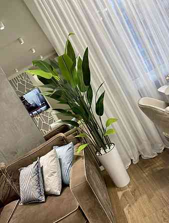 Продам 3х кімн квартиру на Жаботинського Odessa