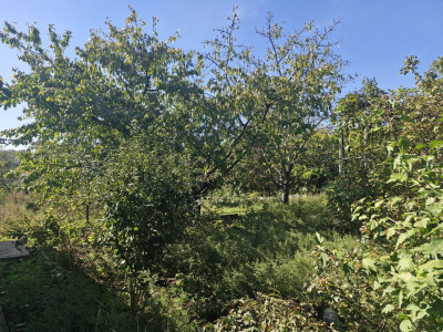 Продаж земельної ділянки 8 соток на ул. Новонерубайская, 4а Нерубайське - фото 7