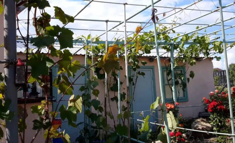 Продам дом с баней в с.Новоукраинка (Раздельнянский р-н, 55 км от Одессы) Новоукраїнка - фото 11