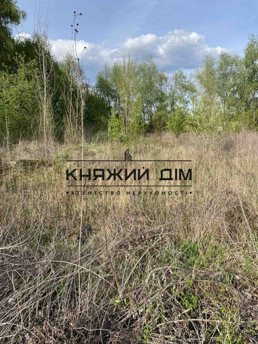 Продаж земельної ділянки 10 соток на Щучий пров. Kiev - photo 8