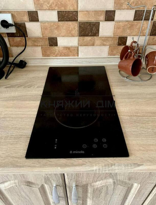 Оренда Квартира 1-кімнатна, 5/25 поверх на Софьи Русовой ул. Kiev - photo 12