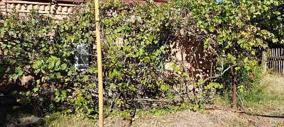 Продаж земельної ділянки 9 соток на АН Купи Дім Кропивницький