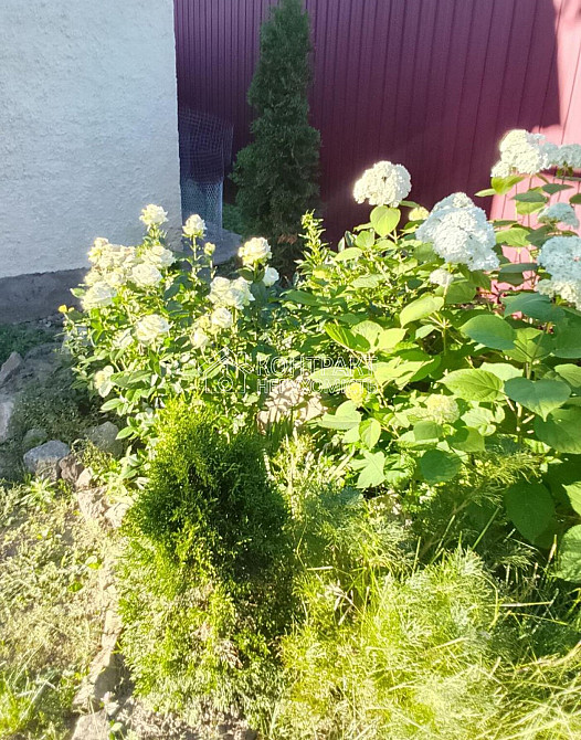 Оренда Будинок 2-кімнатний на вул. Злагоди Kharkiv - photo 7