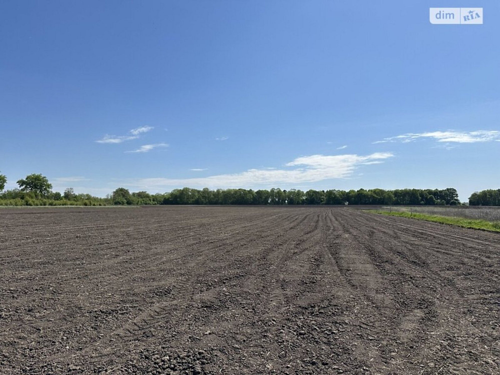 Продаж земельної ділянки 1.4 га Vinnytsya - photo 3