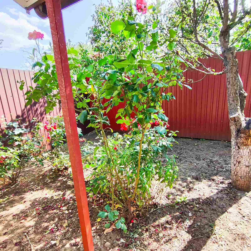 Продам  дом-дачу в с.Нерубайское. Нерубайське - фото 10