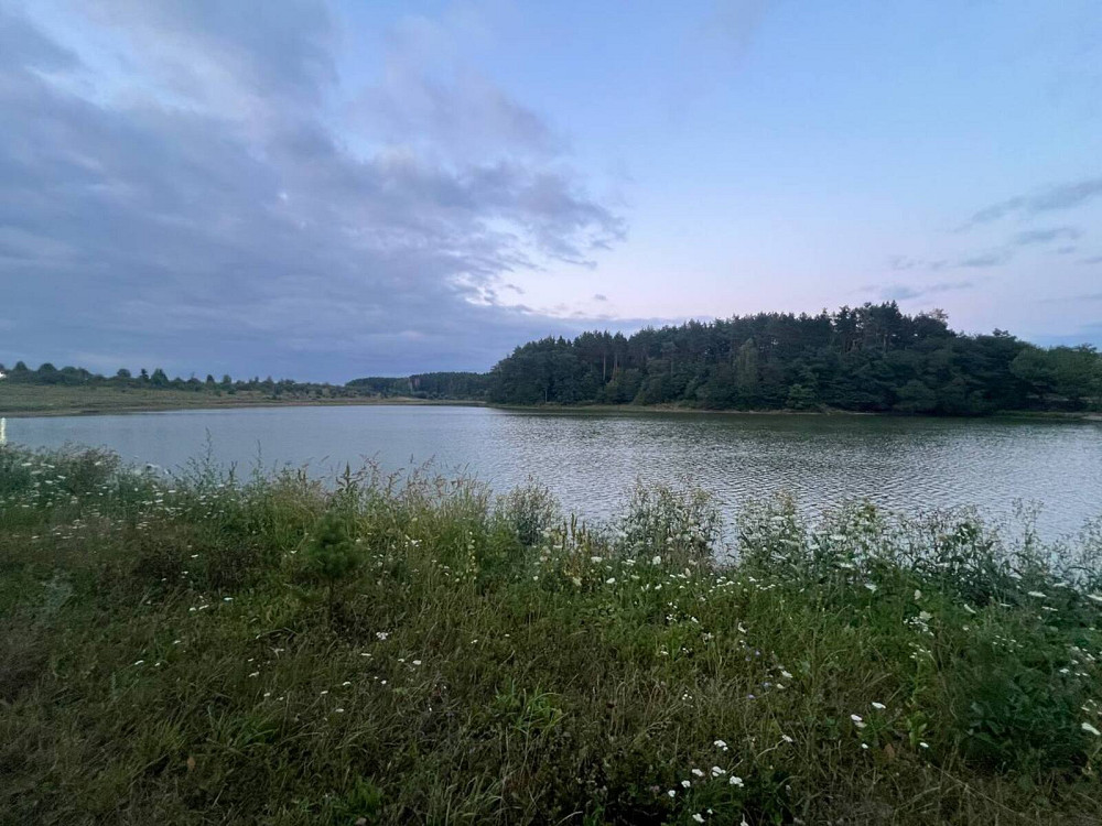 Продаж Будинок на Вишнева Дашківці - фото 9