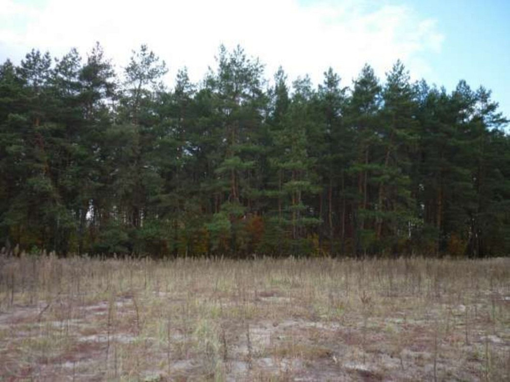 Продаж земельної ділянки 5 соток Кийлів - фото 1