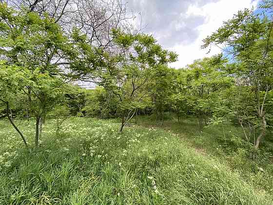 Продаж земельної ділянки 0.1 соток на ул. Литературная, 2 Одеса