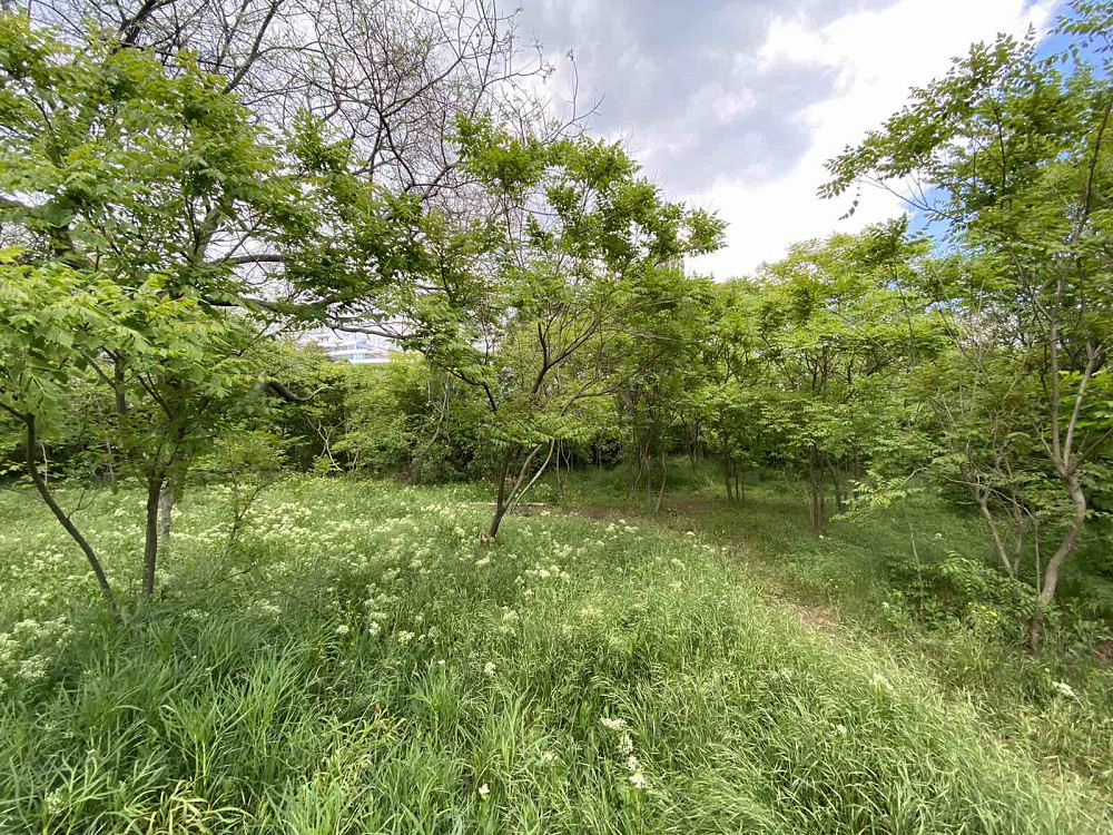 Продаж земельної ділянки 0.1 соток на ул. Литературная, 2 Одеса - фото 2