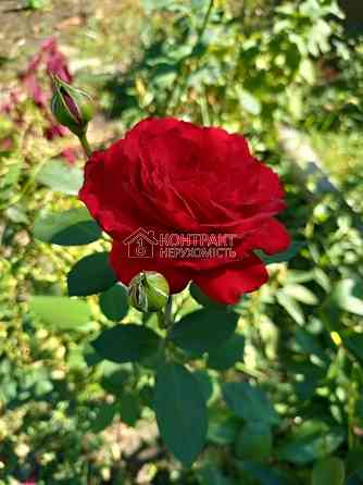 Продаж Будинок 4-кімнатний на вул. Західна 